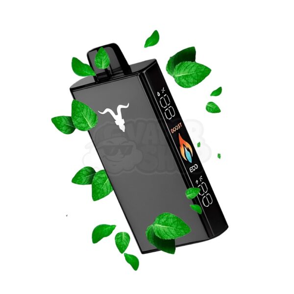 Ignite V250 BLACK: Menta [Menthol]