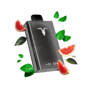 V80 NE: Toranja e Menta