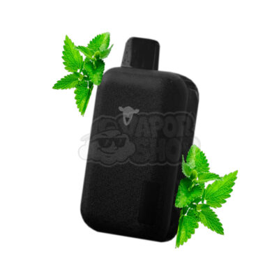 Black Sheep 25k: Menta [Mint One]