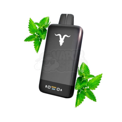 Ignite V155 BLACK: Menta [Menthol]