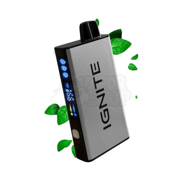Ignite V400 ICE: Menta Doce [Mint]