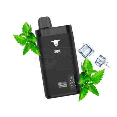 Black Sheep 30K: Menta / Menta Fresca