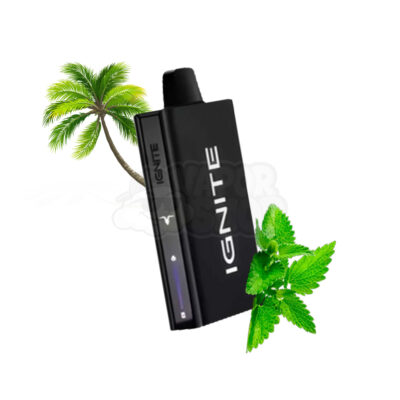 Ignite V55 Ultra Thin: Menta Miami [Miami Mint]