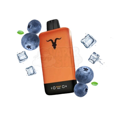 Ignite V155 ORANGE: Blueberry Ice