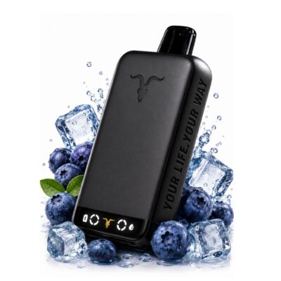 Ignite V500: Blueberry Ice