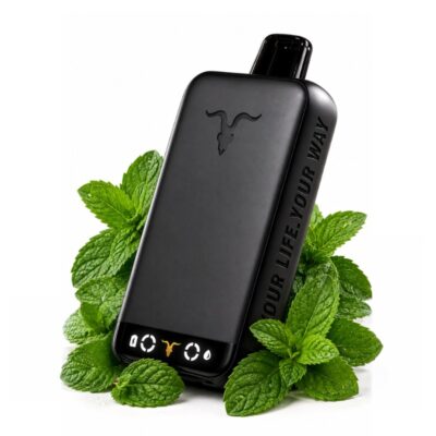 Ignite V500: Menta Fraca [Cool Menthol]