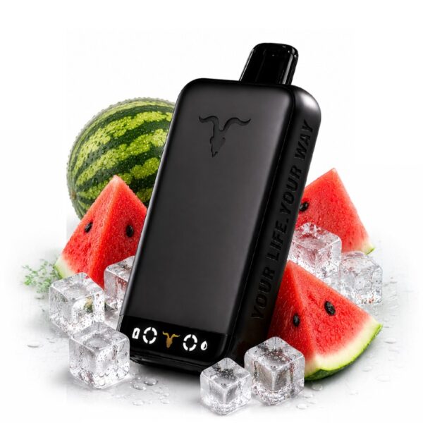 Ignite V500: Melancia Ice [Watermelon Ice]