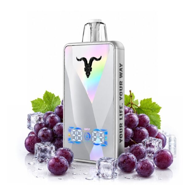 Ignite V400 ICE Ultra Slim: Uva [Grape]